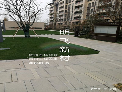 案例展示